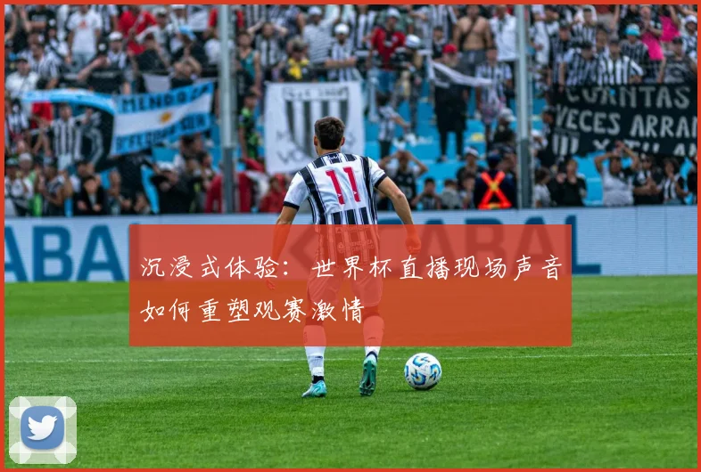 沉浸式体验：世界杯直播现场声音如何重塑观赛激情