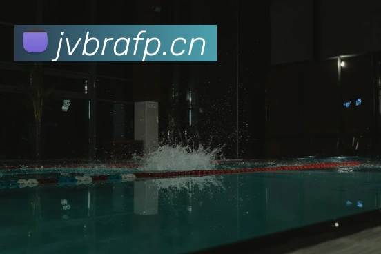 开云手机在线登录官网平台生态图